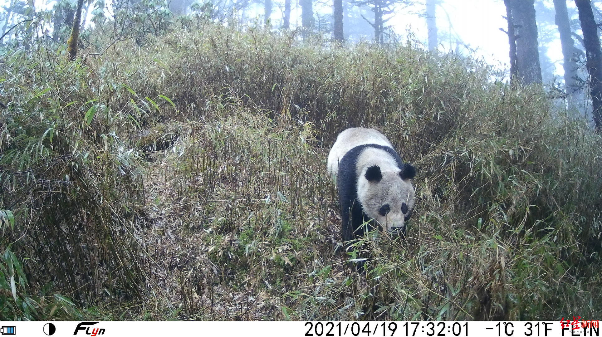 昆明滇池- 中(图1)