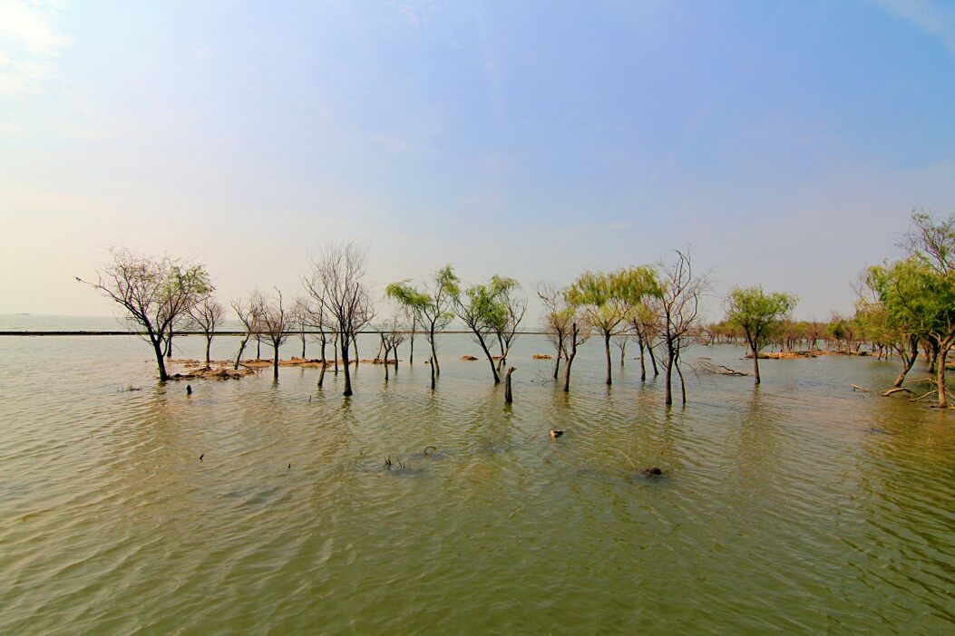 接连加大湿地珍爱修复力度(图1)