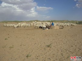 土地戈壁化的风险 土地戈壁化的风险有哪些(图1)