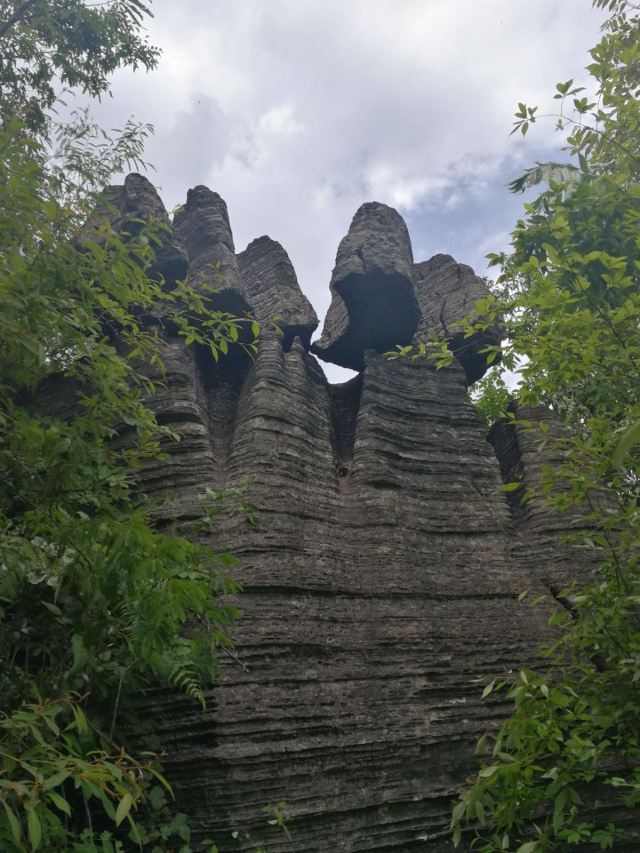 淅川 好生态带来好“钱景”(图1)