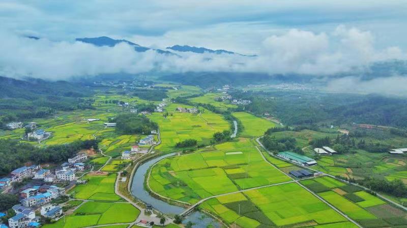 生态处境部长江流域局调研组来随调研水生态处境守卫环境(图1)