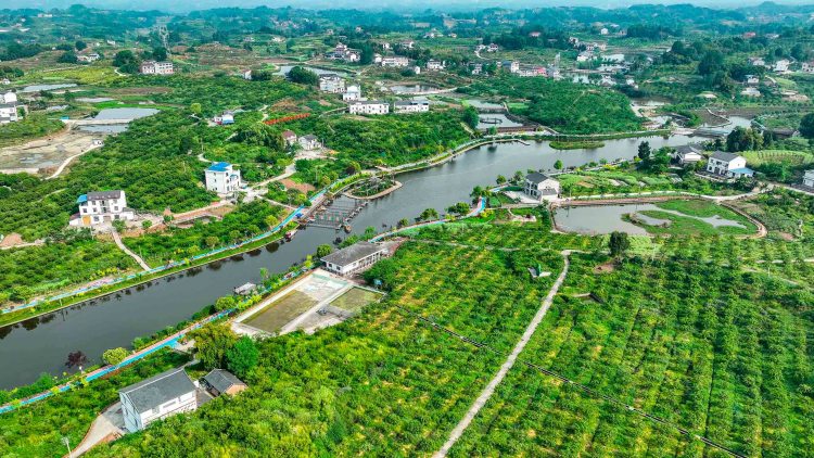 昨年重庆杀青水土流失面积强度“双低重”(图1)