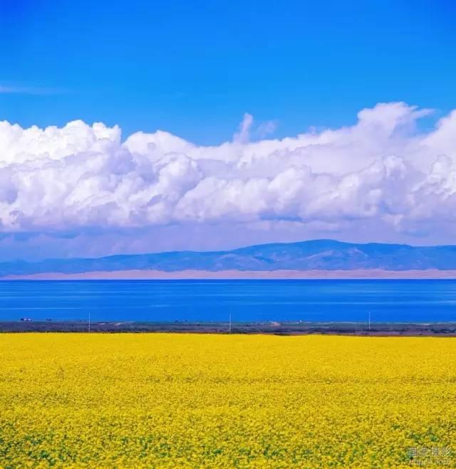 青海湖开湖迎宾来(图1)