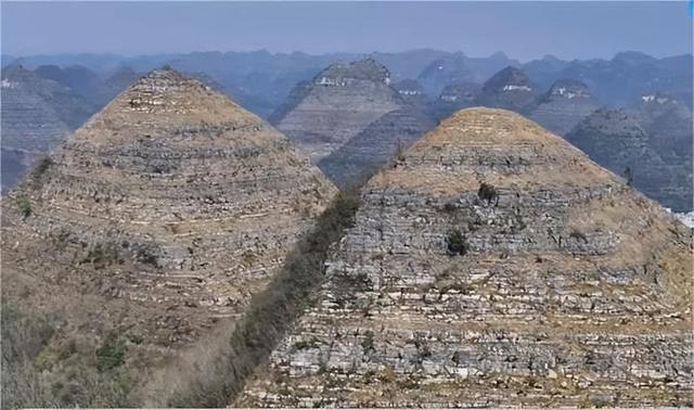 众种濒危野圆活物继续消重态势基础回旋(图1)