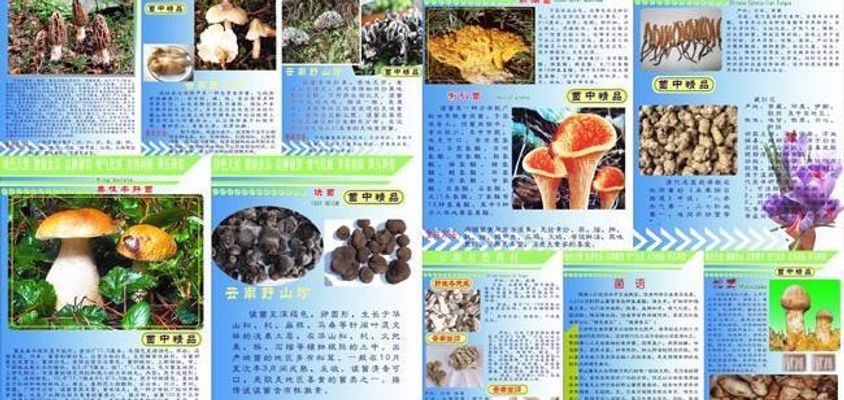 星空综合体育官网拒做“菇勇者” 垫江野生菌散布进屯子(图1)