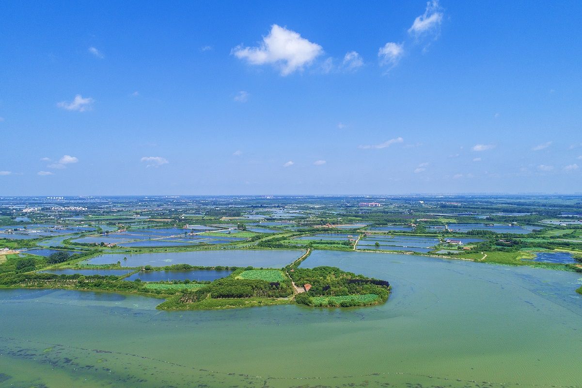 五一不忙 去趟衡阳｜湖南常宁：湿地公园美如画(图1)