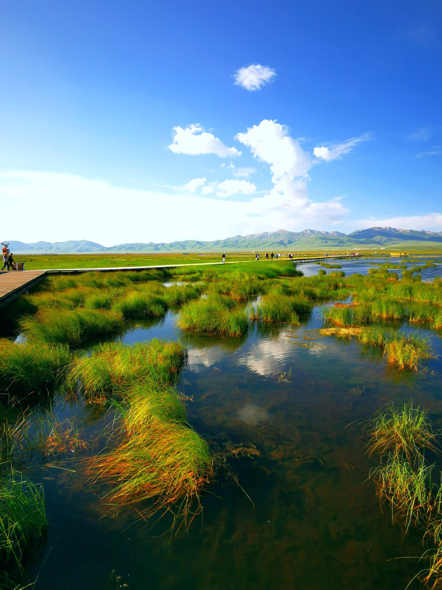 重磅！姑苏市正式获“邦际湿地都邑”邦度提名(图1)