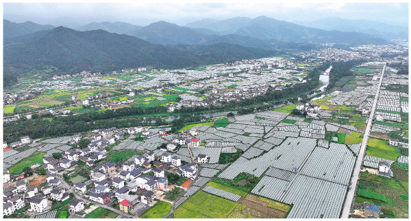 防治土地荒野化 促进绿色生长——专访邦度林业和草原局副局长刘东生(图1)