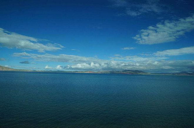 青海湖生物众样性晋升(图1)