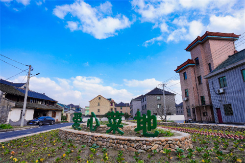 星空综合体育APP驻马店斥地区金山街道界牌社区结合斥地区交警大队发展“姣好村落行”交通安适巡礼宣扬运动(图1)