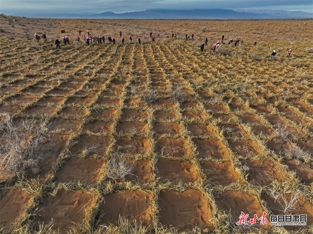 星空平台app官方下载尽力打好这场攻坚战——宁夏周至胀动荒野化归纳办理视察(图1)